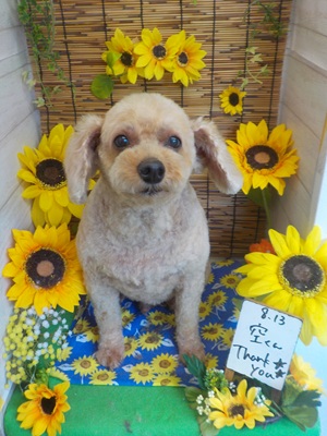 すっきりしたわ~♪