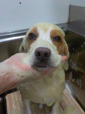 これ好きなの~🌿