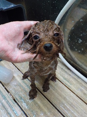 びちょびちょ💦