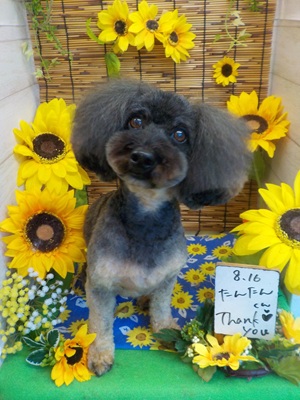 すっきりしたわ~♪