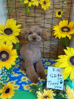 がんばったよ!!