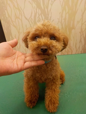 出来る気がする…!