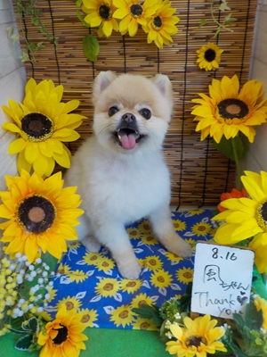 綺麗になったよ~(^^♪