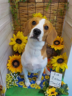 頑張ったっ！！