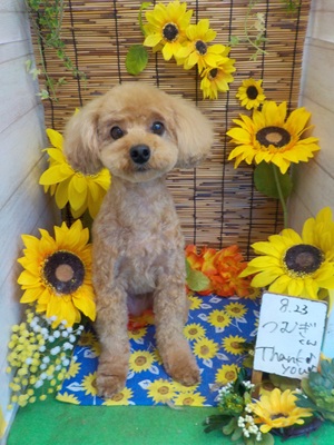 すっきりした～