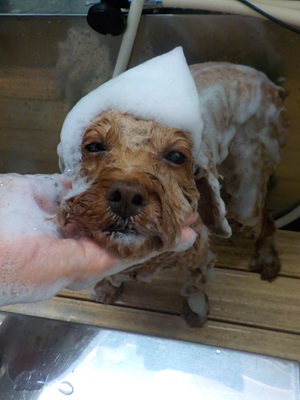 とんがり帽子.。o○