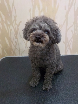 よろしくね～★