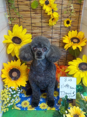 かわいくなった？