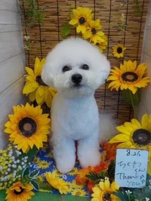 がんばったよ!!