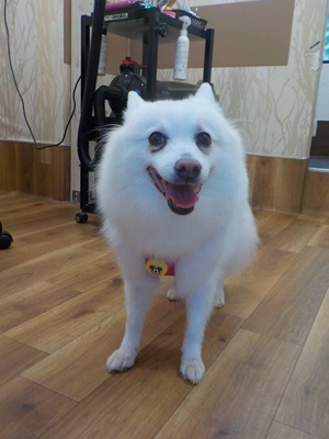 今日は私だよ～♫