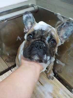 聞いてない！！