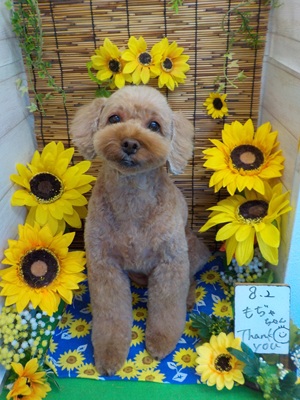 かわいくなった?