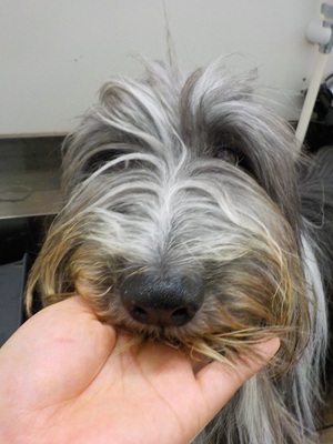 よろしくです…