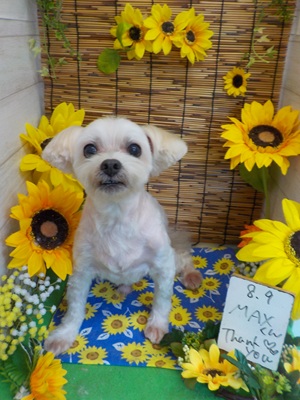 すっきりした♪