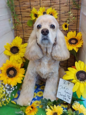 可愛くなったよ~