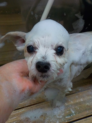 頑張ってるよ…