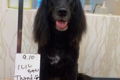 ちゅるっと♪♪