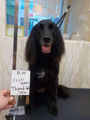 ちゅるっと♪♪