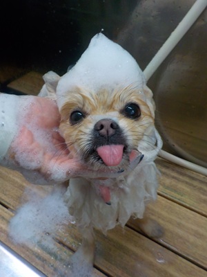 とんがりコーン