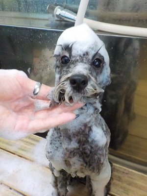 泡まみれ○o。.