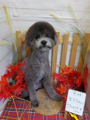 かわいくなった?