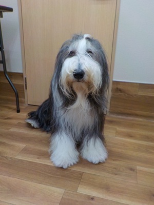 イメチェンします