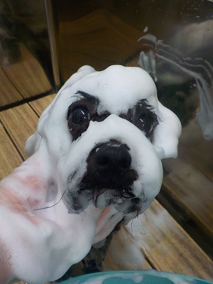 泡パック♪保湿♪