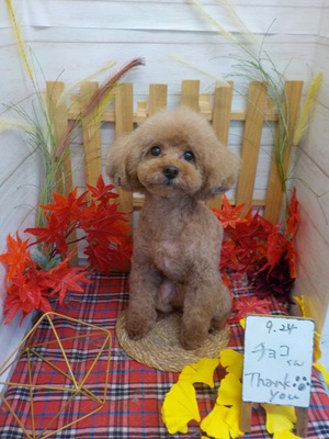 がんばったよ!!