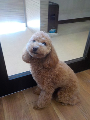 ママ行っちゃた…