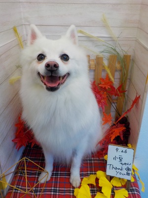 綺麗になったわ!!!