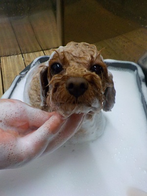 がんばってる！！