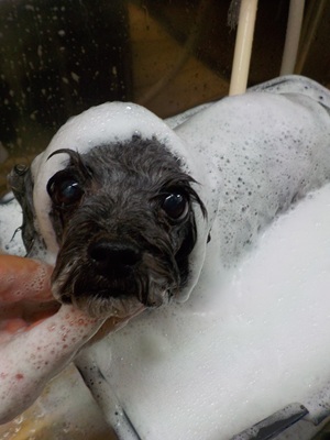 泡まみれ○o。.