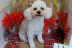 かわいくなった？