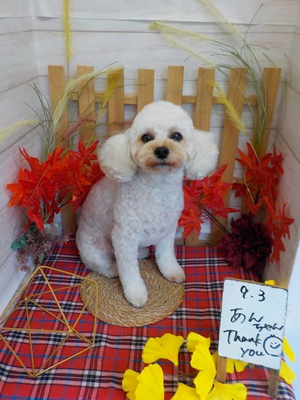 かわいくなった？