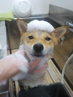 いい気もち…♨