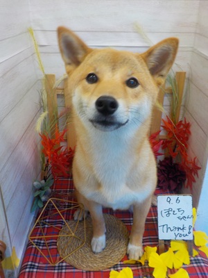 °˖✧ぴかぴか°˖✧