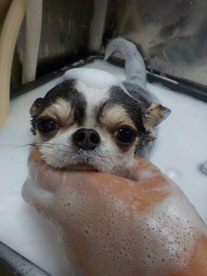 綺麗にな～れ★