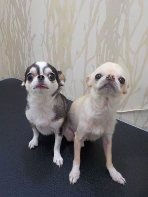 やっほ～！！！