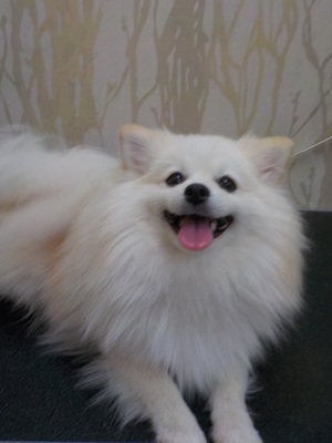 きたよ～！！！！