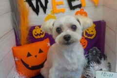 かわいくなった？