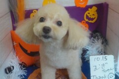 きれいになった✨