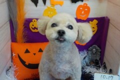 すっきりしたわ～