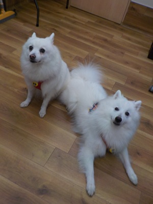 今日は一緒だよ~♪