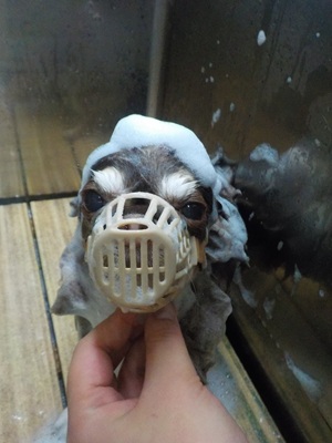 きれいにな~れ♪