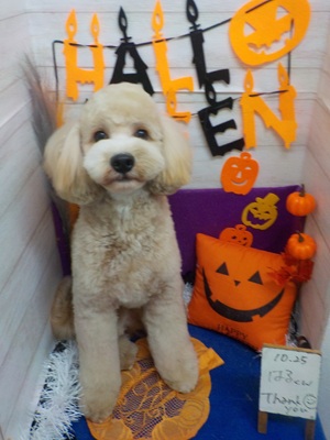 スッキリしたぞ!!