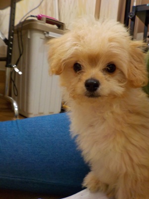 がんばれるよ！