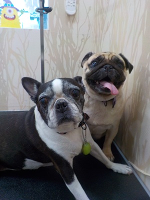 きたよ～！！！！