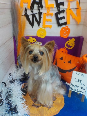 Trick　or　Treat　！！
