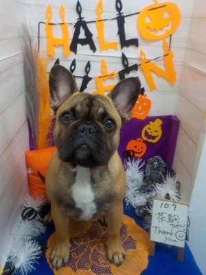 ピカピカだよ☺