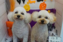 かわいくなった？